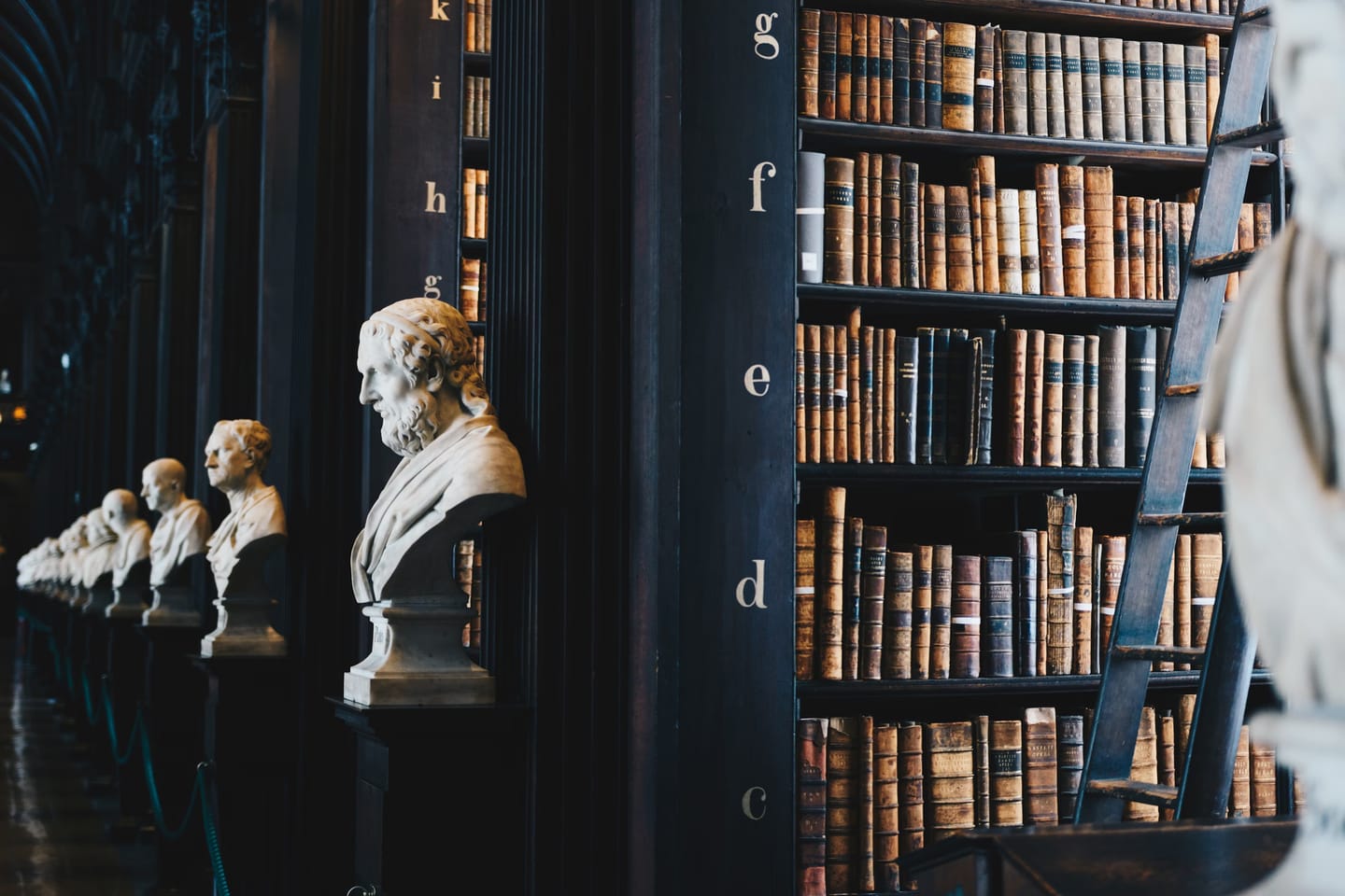 Rows of books in a library with marble busts.